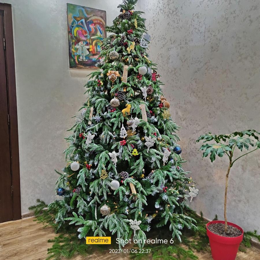 House B&B Местия Экстерьер фото